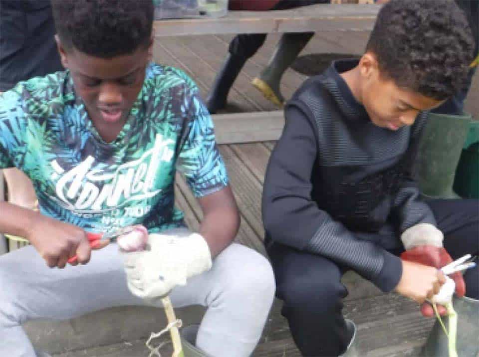 Two boys sit tidying up bulbs of garlic that they have grown